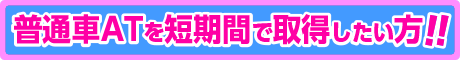 普通車短期